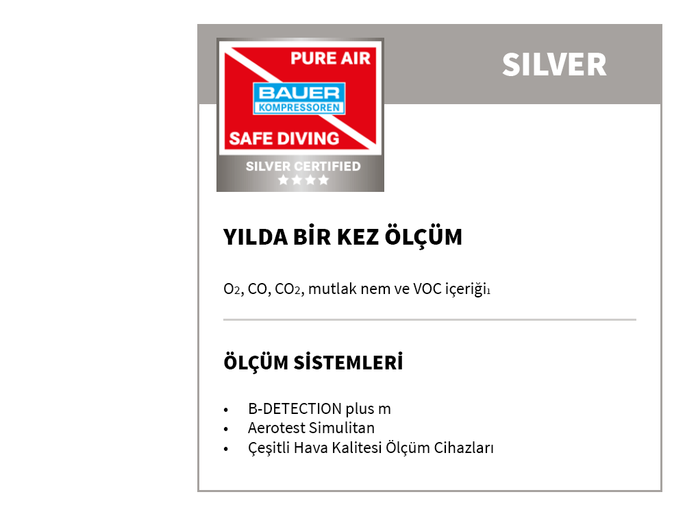 silver-new